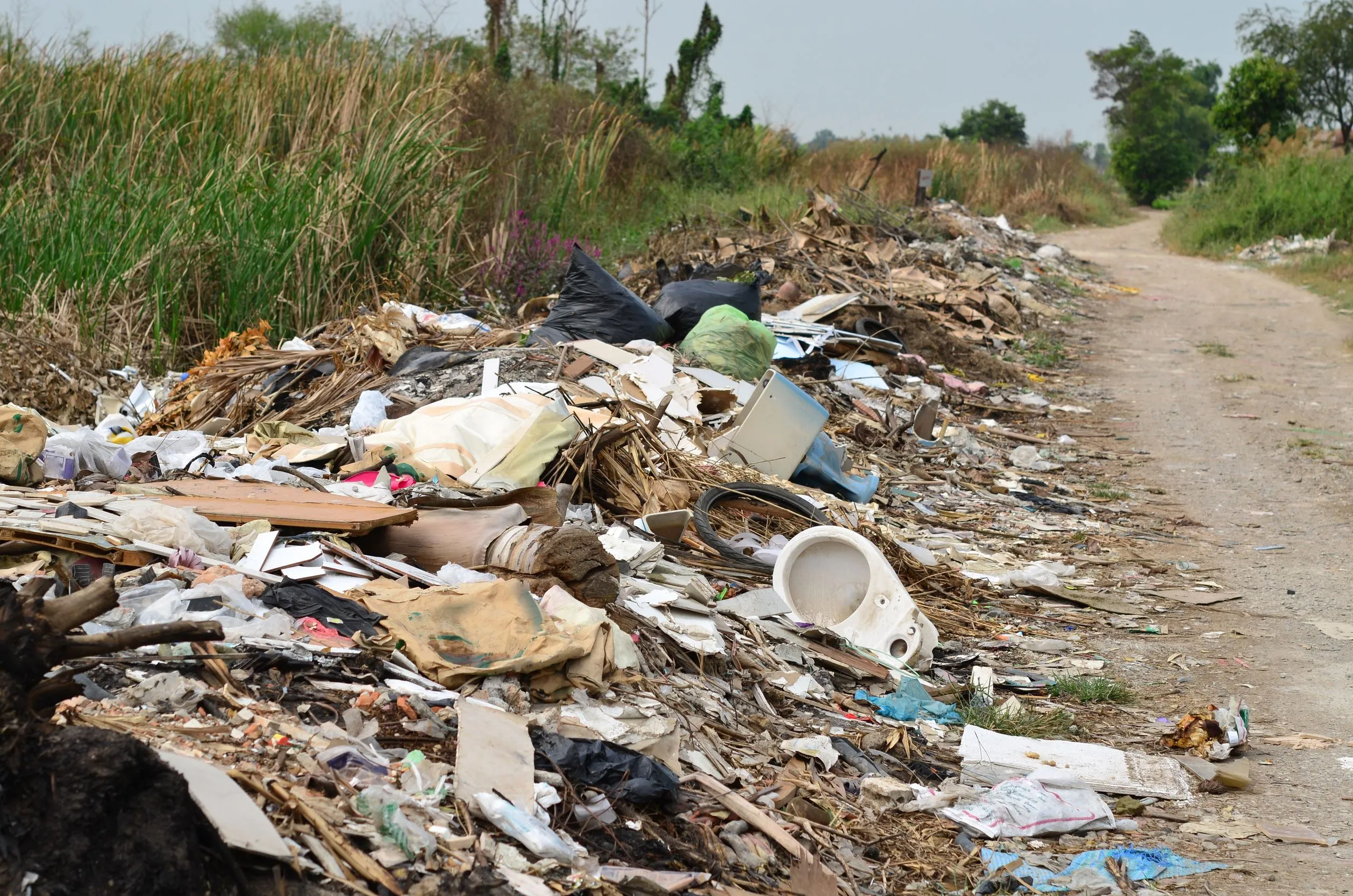 Avoid Illegal Dumping In Brush Prairie: The Dangers Of Cheap Junk Removal Services