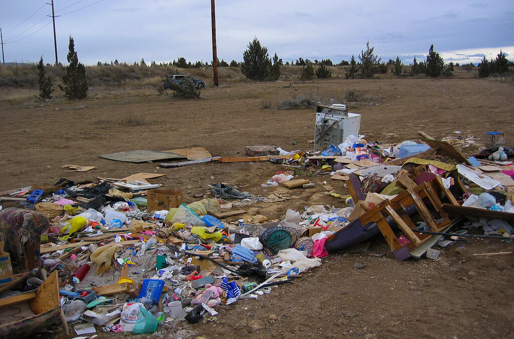 Avoid Illegal Dumping In Tigard: The Dangers Of Cheap Junk Removal Services