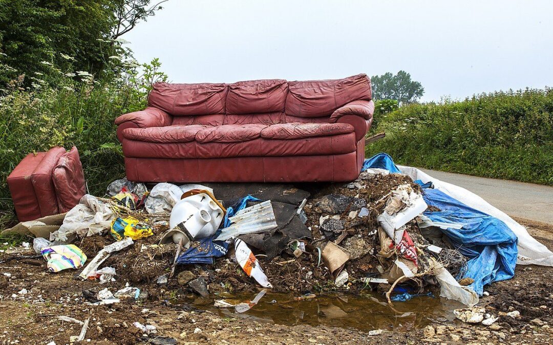 Avoid Illegal Dumping In Bellevue: The Dangers Of Cheap Junk Removal Services