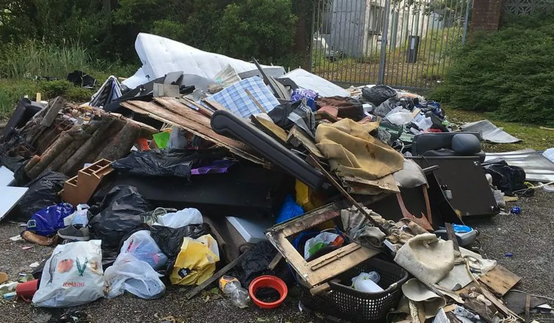 Avoid Illegal Dumping In West Haven Sylvan: The Dangers Of Cheap Junk Removal Services