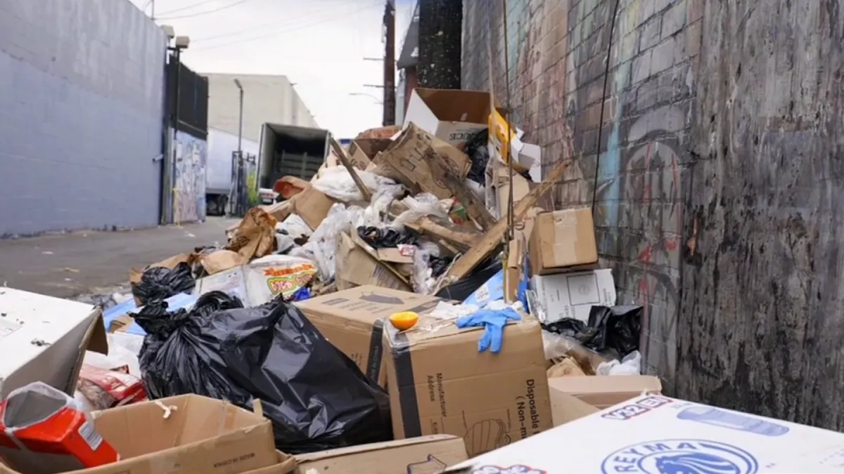 Avoid Illegal Dumping In Sunnyside: The Dangers Of Cheap Junk Removal Services