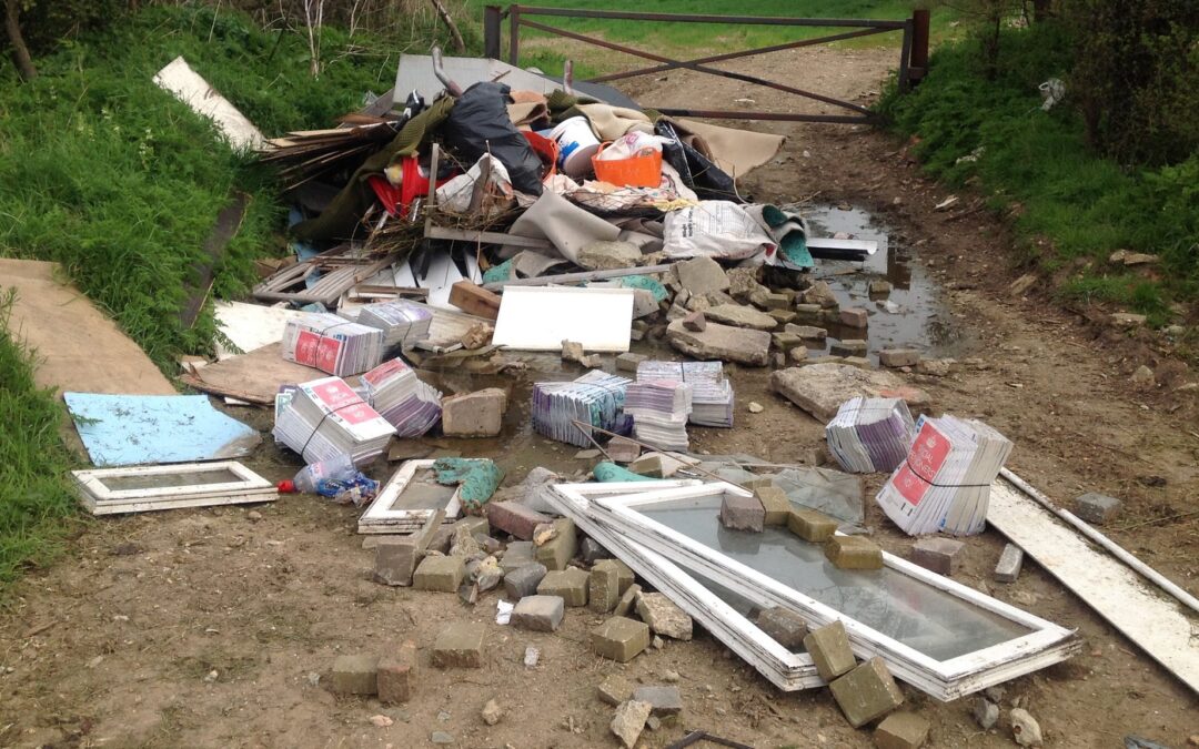 Avoid Illegal Dumping In Hillsboro: The Dangers Of Cheap Junk Removal Services