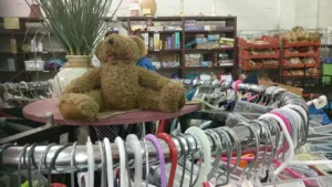 Camas Donation Guides