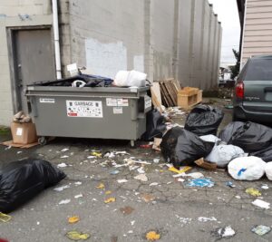 Washougal Dump Guide