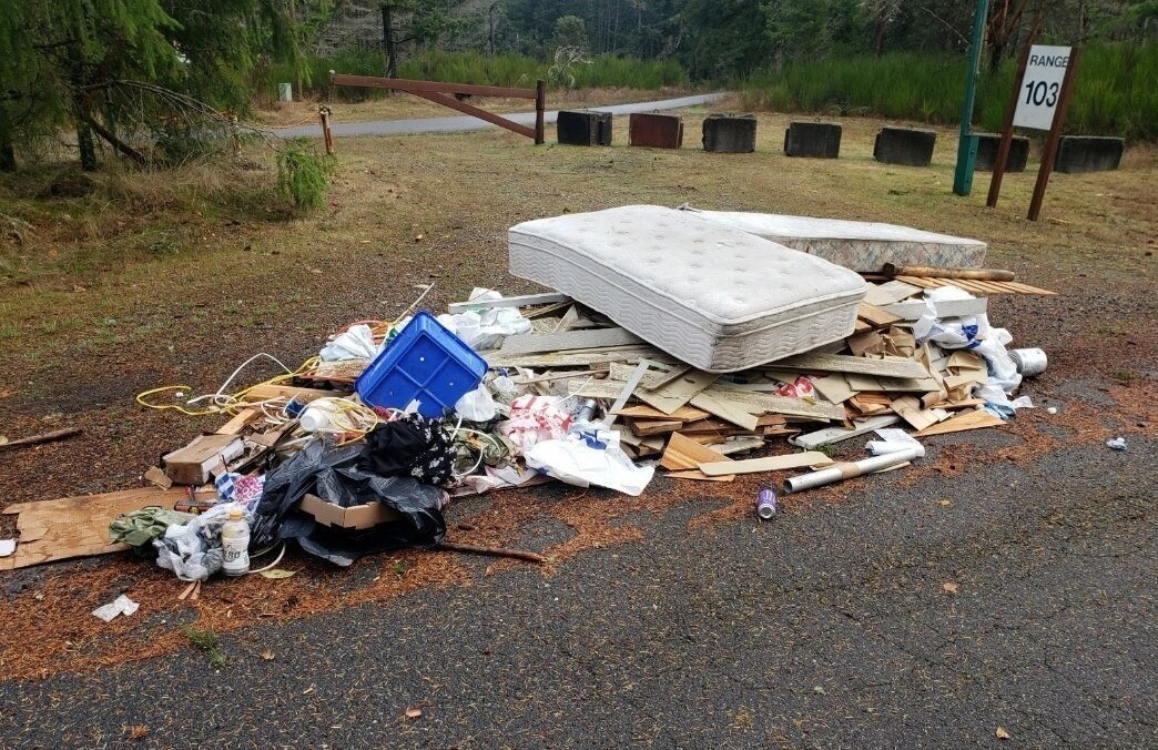 Avoid Illegal Dumping In Newcastle: The Dangers Of Cheap Junk Removal Services