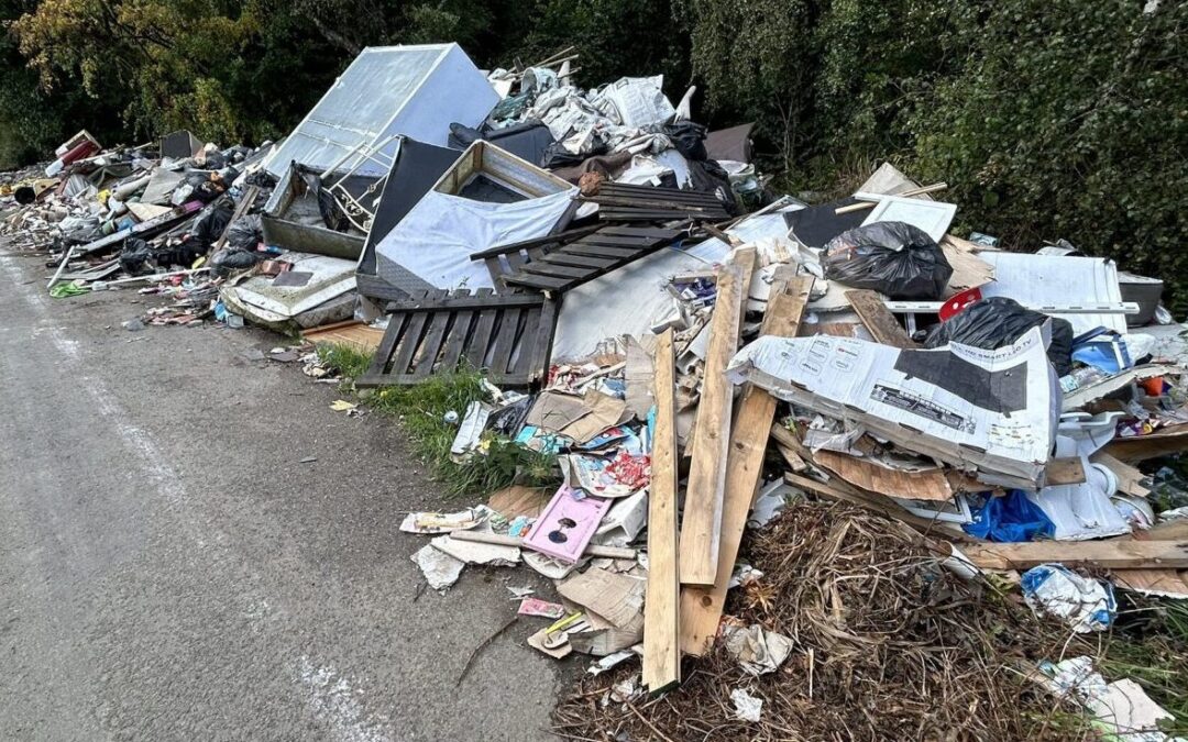 Avoid Illegal Dumping In Fife: The Dangers Of Cheap Junk Removal Services