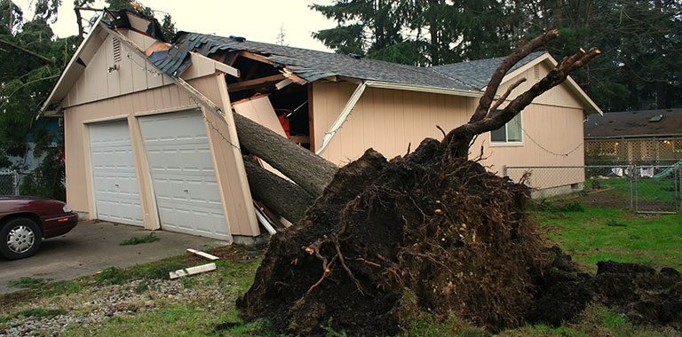 Commercial Junk Removal