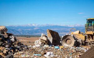 University Place Dump Guide