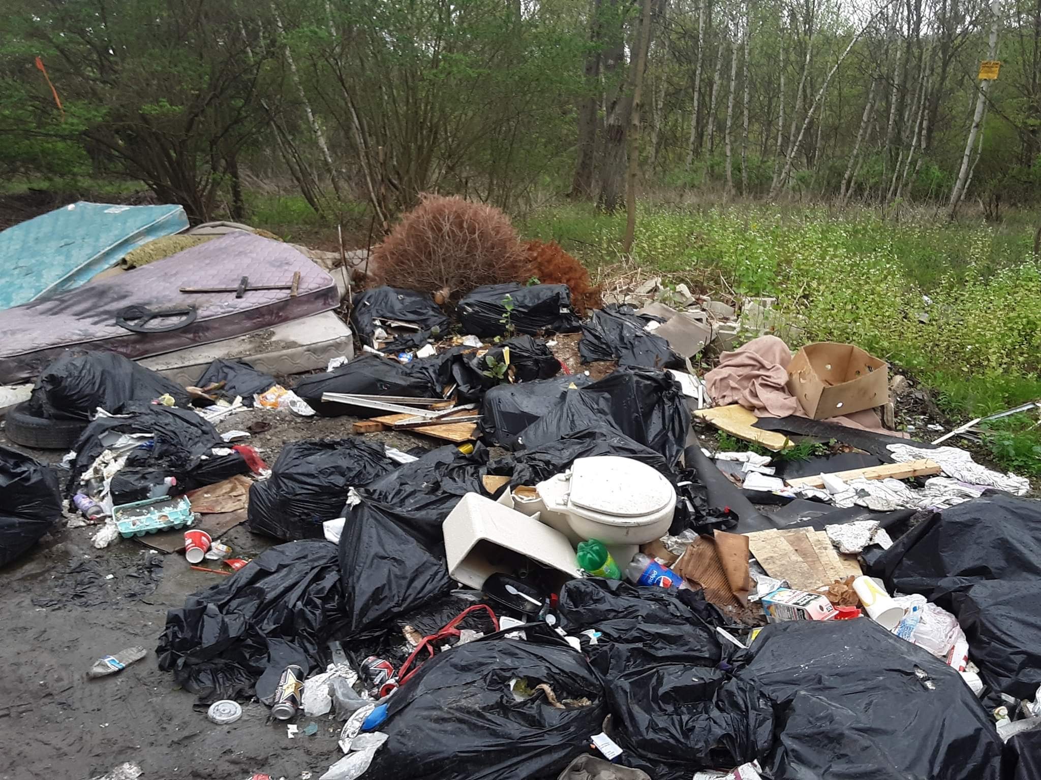 Avoid Illegal Dumping In Mercer Island: The Dangers Of Cheap Junk Removal Services