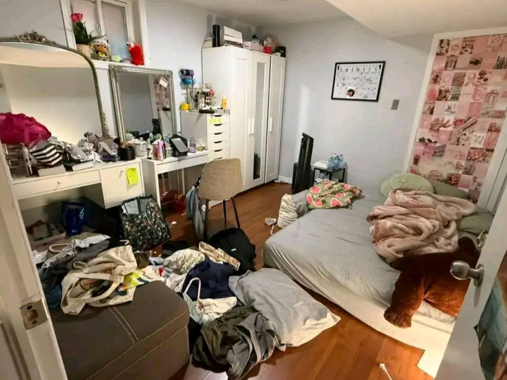 Junk Removal | Cleanout | Demolition