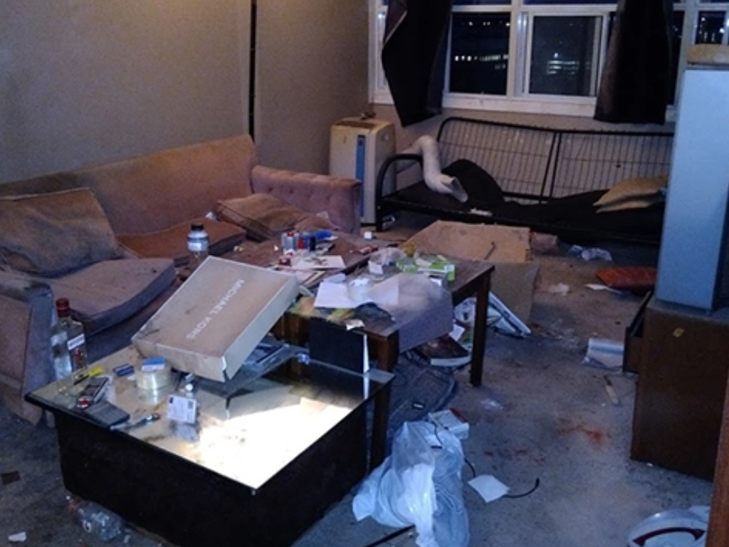 Junk Removal | Cleanout | Demolition
