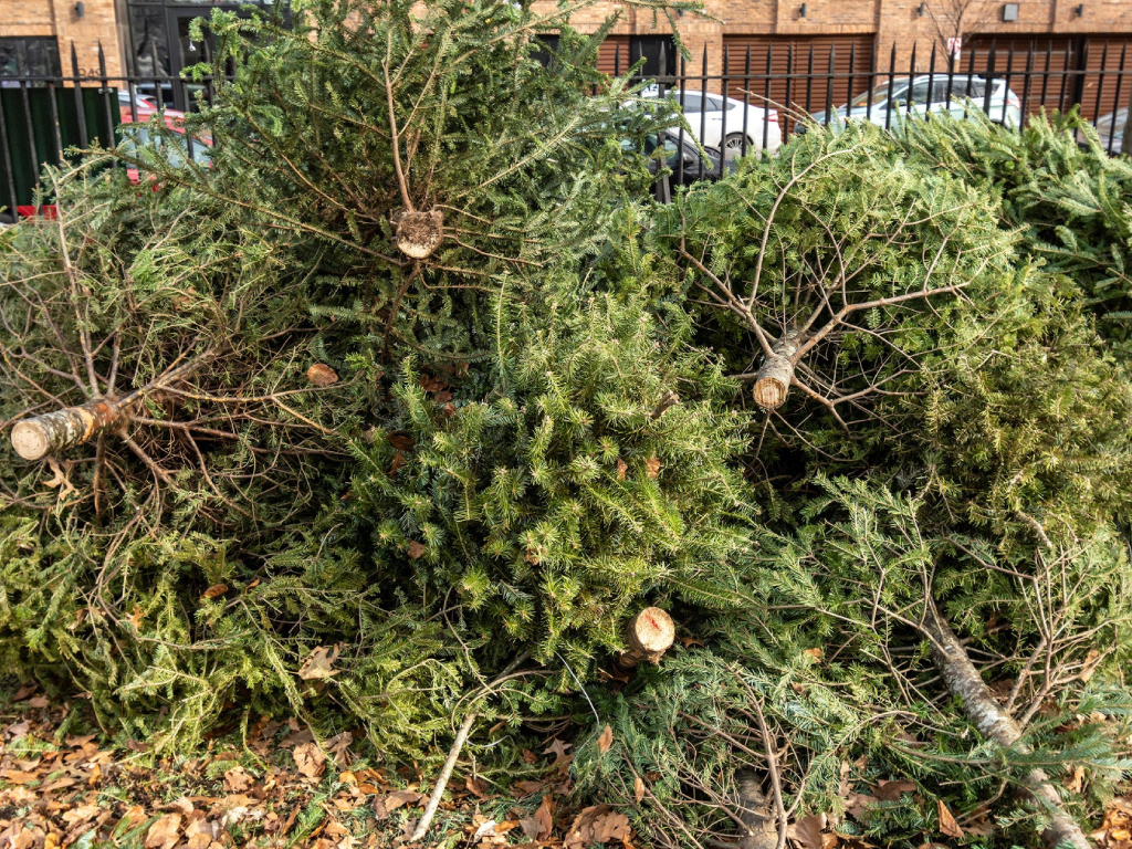 Junk Removal | Cleanout | Demolition