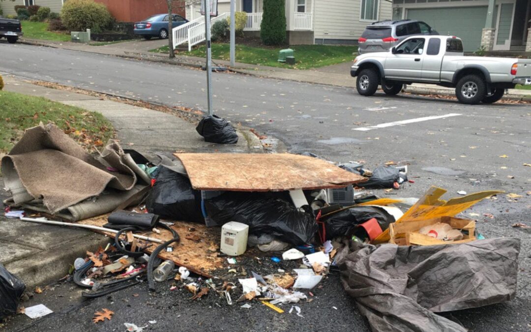 Avoid Illegal Dumping In Lynnwood: The Dangers Of Cheap Junk Removal Services