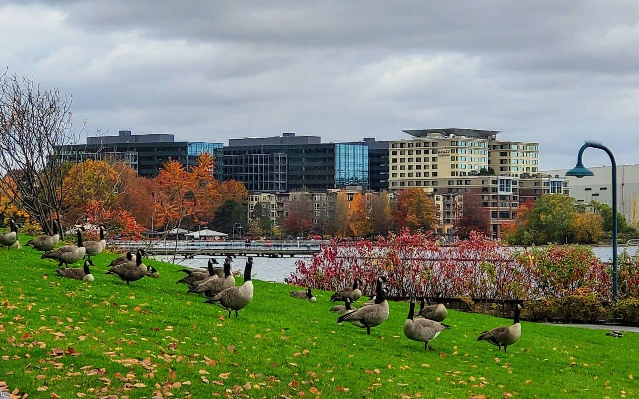 Downtown city center of Bellevue WA