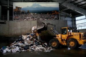 Shoreline Dump Guide