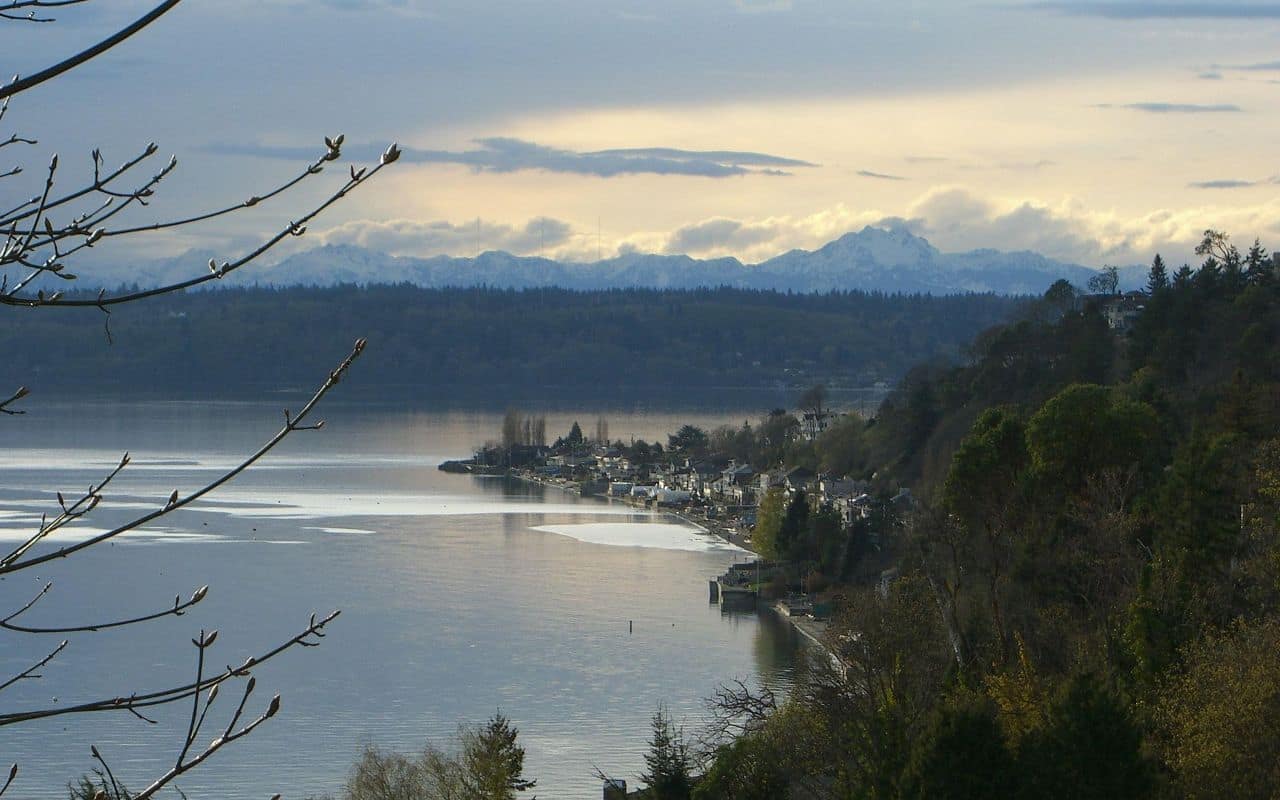 Downtown city center of Bellevue WA