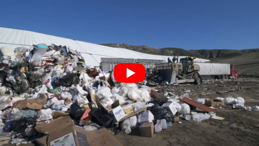 Junk Removal Comapany Junk Removal | Cleanout | Demolition