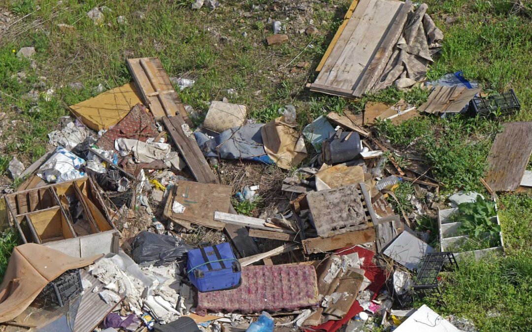 Avoid Illegal Dumping In Aloha: The Dangers Of Cheap Junk Removal Services