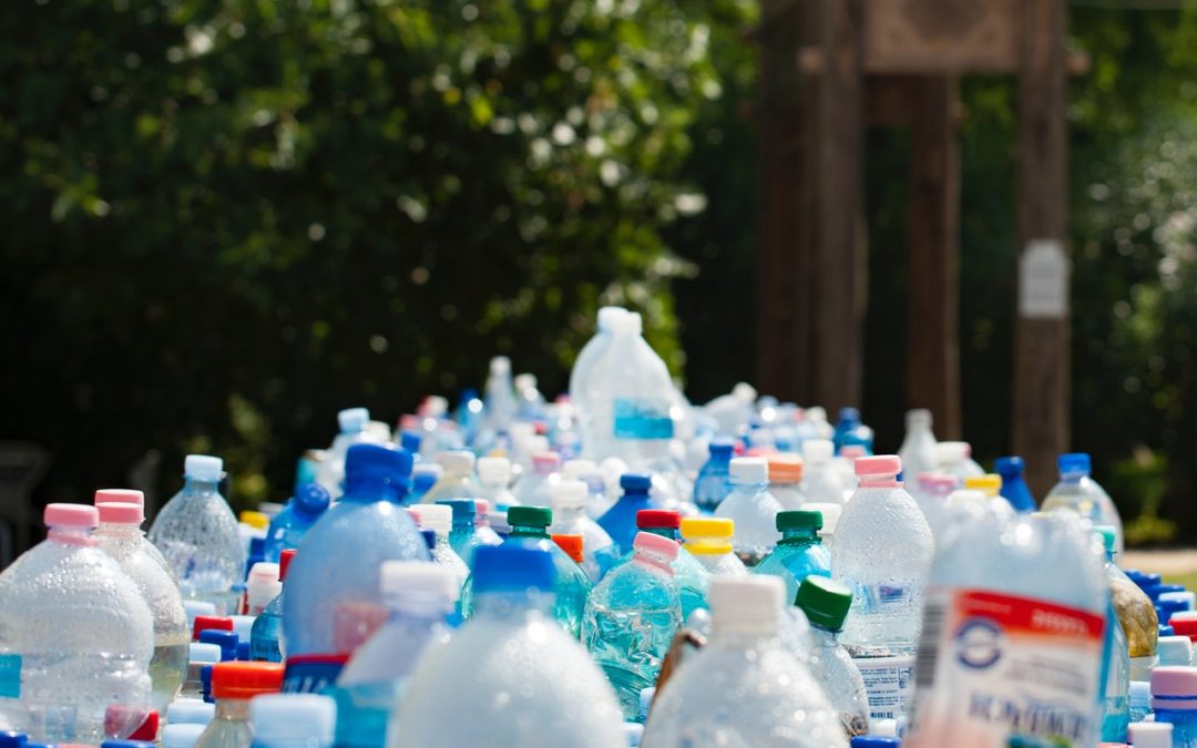 Which Plastics Are Recyclable?