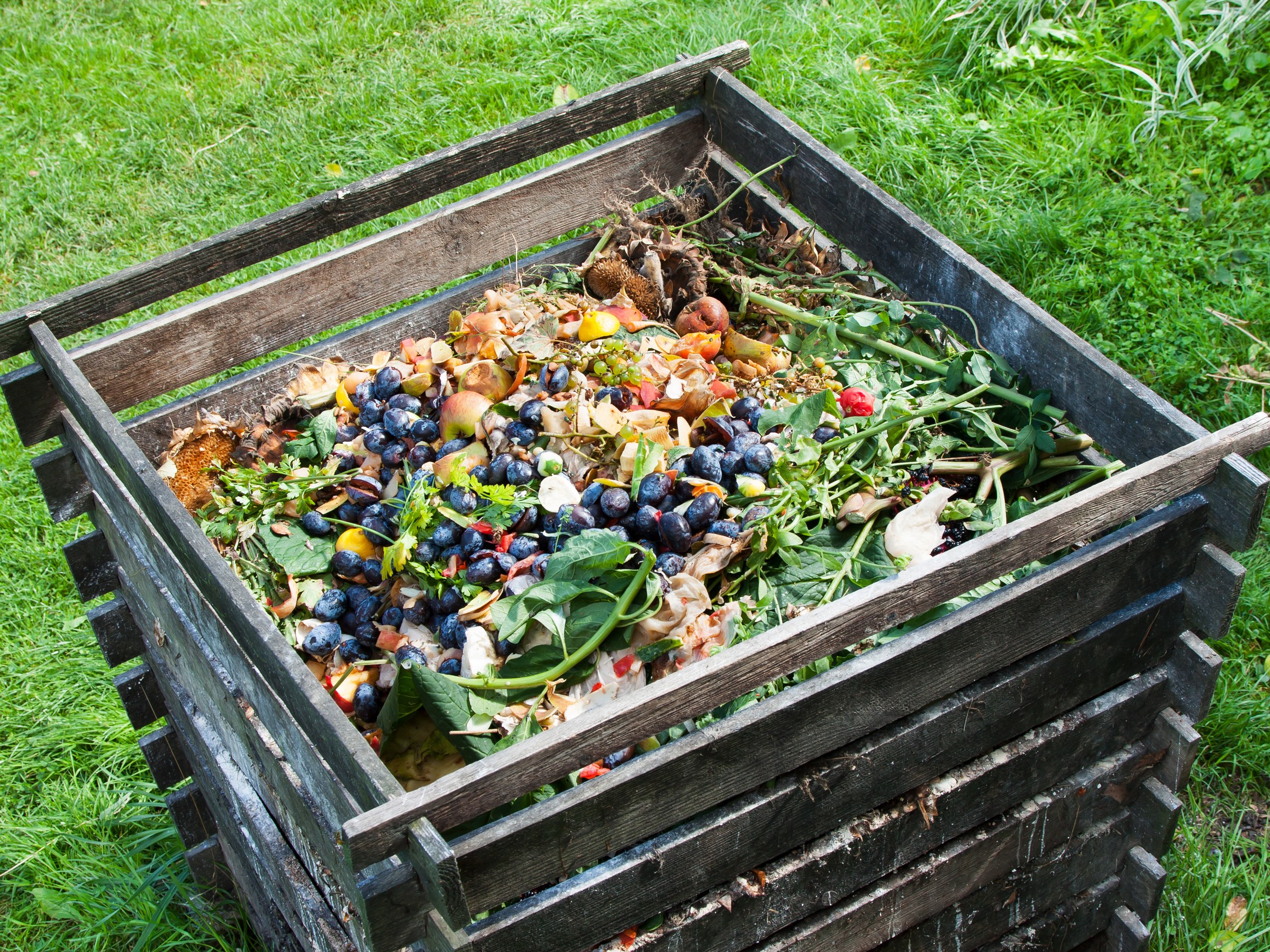 compost-recycling-seattle