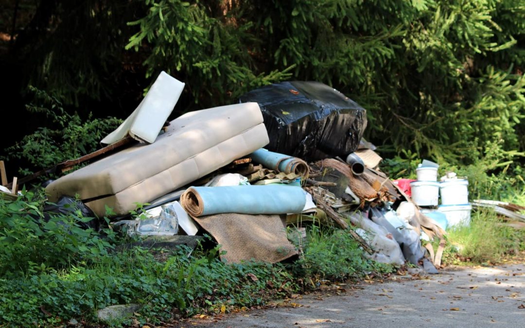 Illegal Dumping in Seattle: Beware of Cheap Junk Removal
