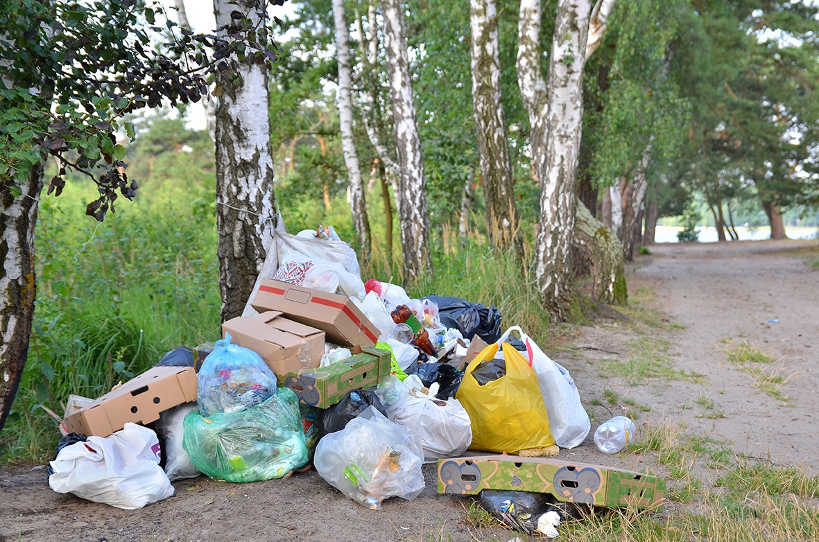 Avoid Illegal Dumping In Troutdale: The Dangers Of Cheap Junk Removal Services