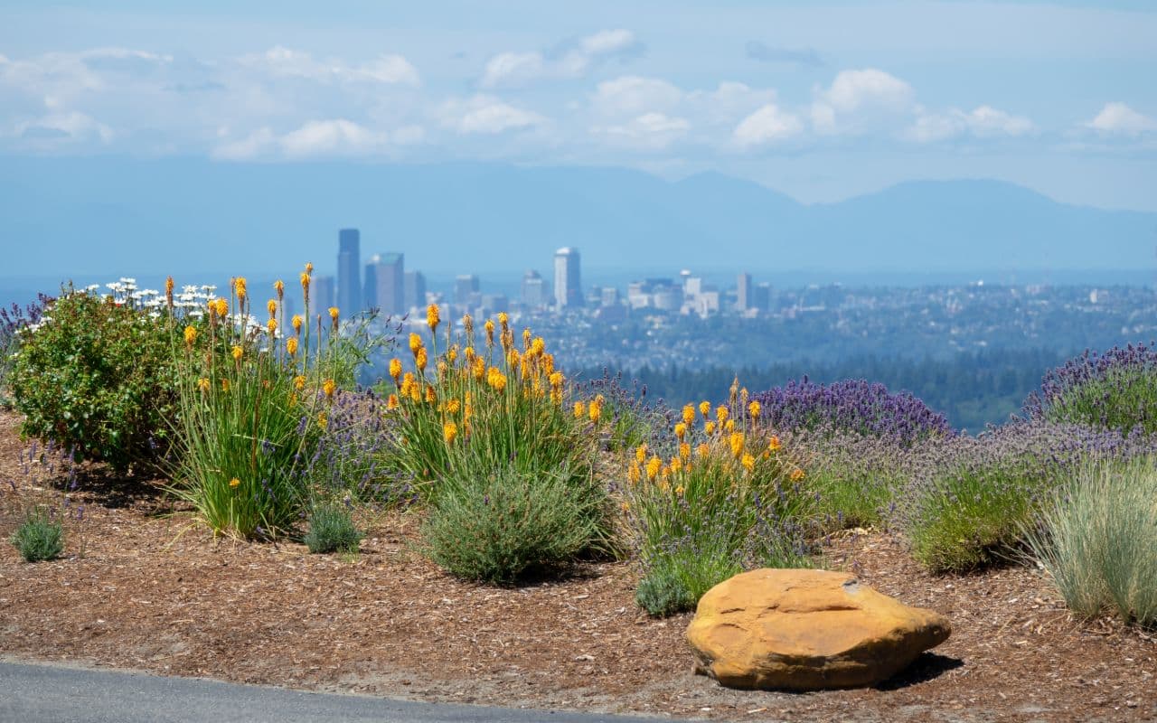 Downtown city center of Bellevue WA