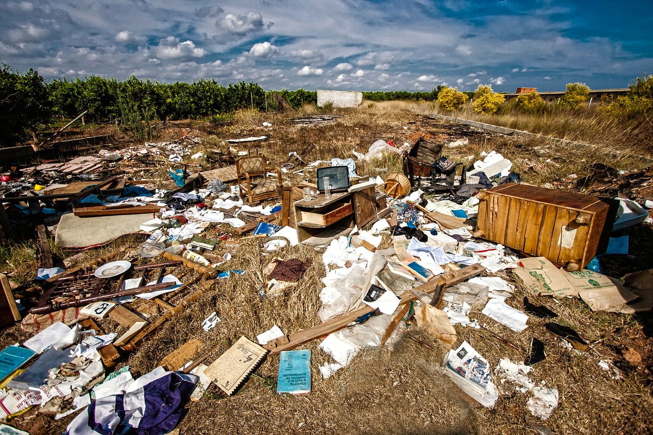 Avoid Illegal Dumping In Tigard: The Dangers Of Cheap Junk Removal Services